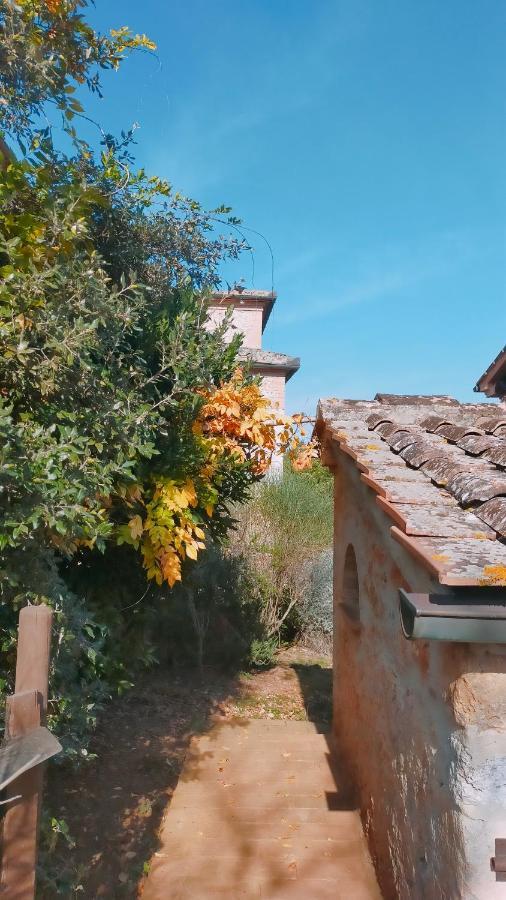 Cosy Country Room Garden Sovicille Exterior foto